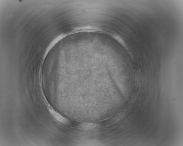 X0000078311474200611172202