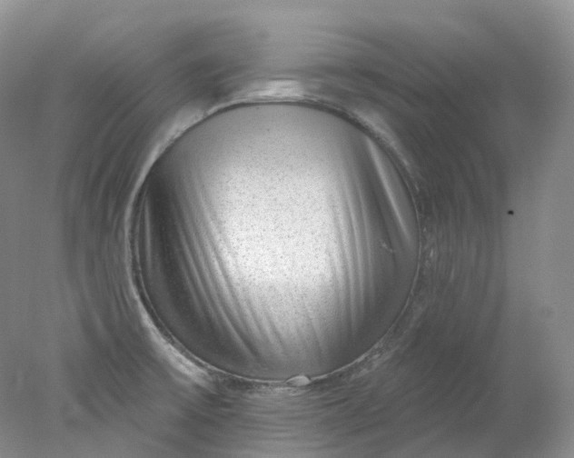 X0000078311475200611172202