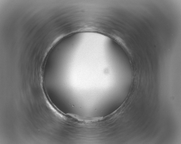 X0000078311476200611172202