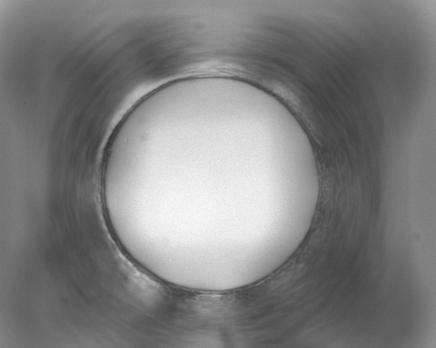 X0000078311478200611172202