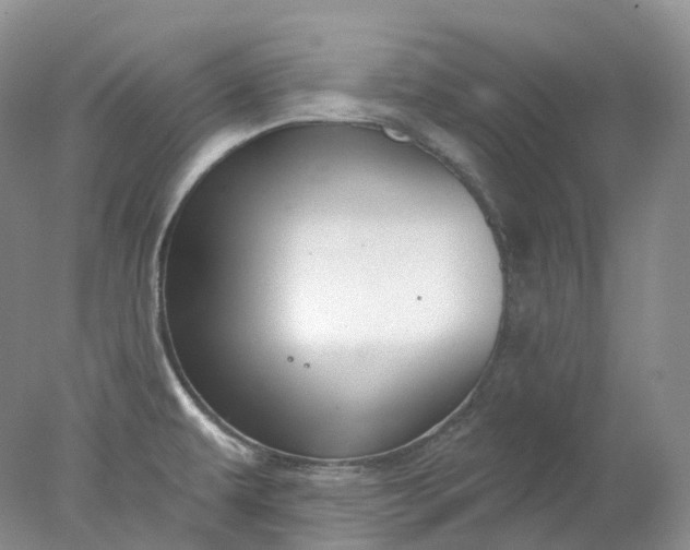 X0000078311479200611172202