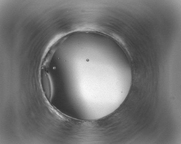 X0000078311480200611172202