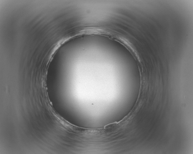 X0000078311481200611172202