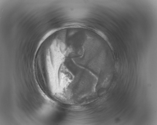 X0000078311482200611172202