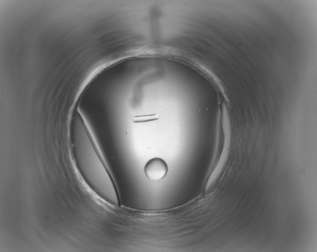 X0000078311483200611172202