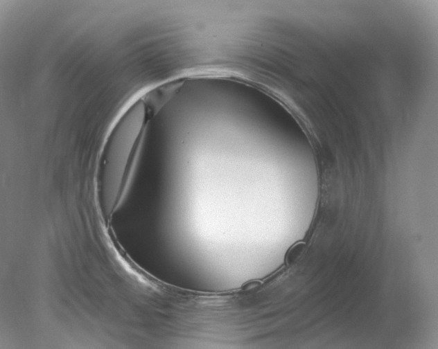 X0000078311484200611172202