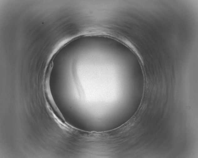 X0000078311485200611172202