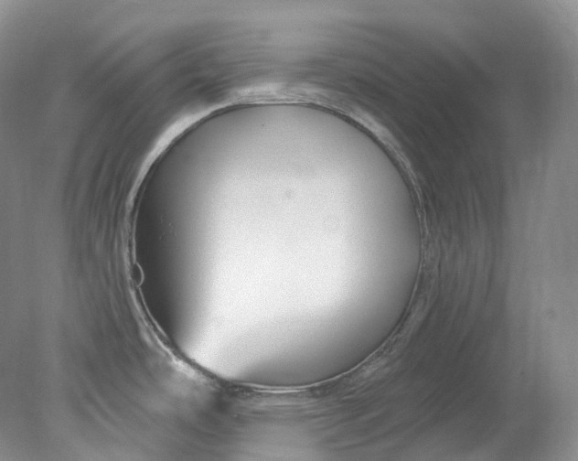 X0000078311486200611172202