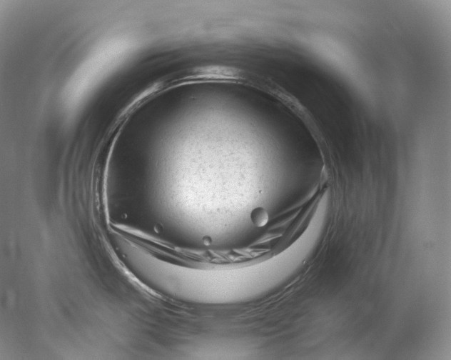 X0000078311487200611172202