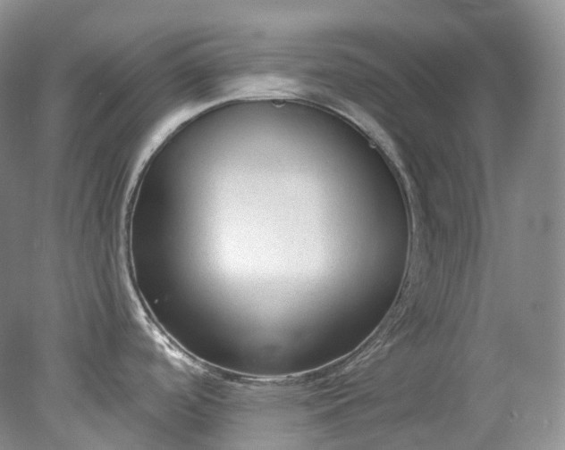 X0000078311488200611172202