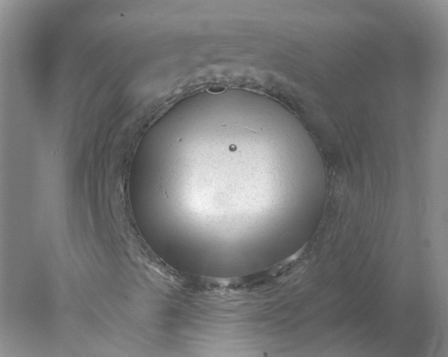 X0000078311489200611172201