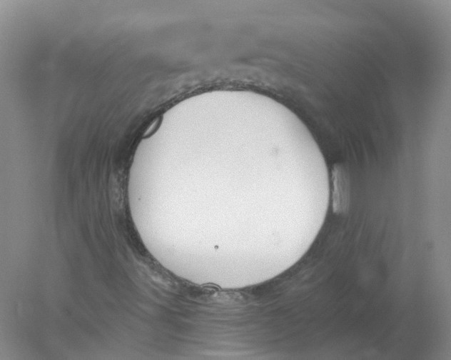 X0000078311491200611172201