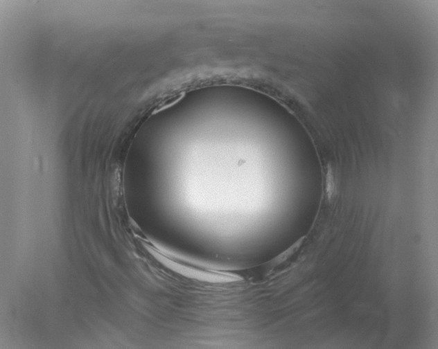 X0000078311492200611172201