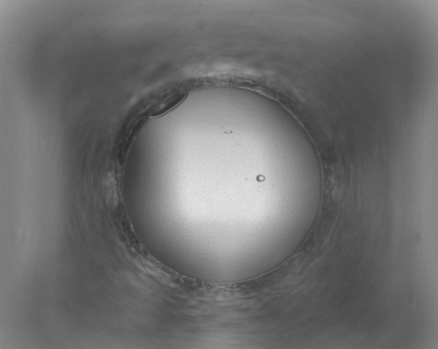 X0000078311493200611172201