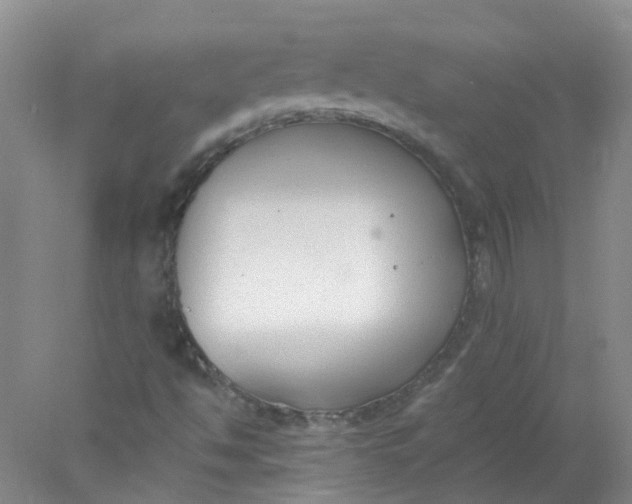 X0000078311494200611172201