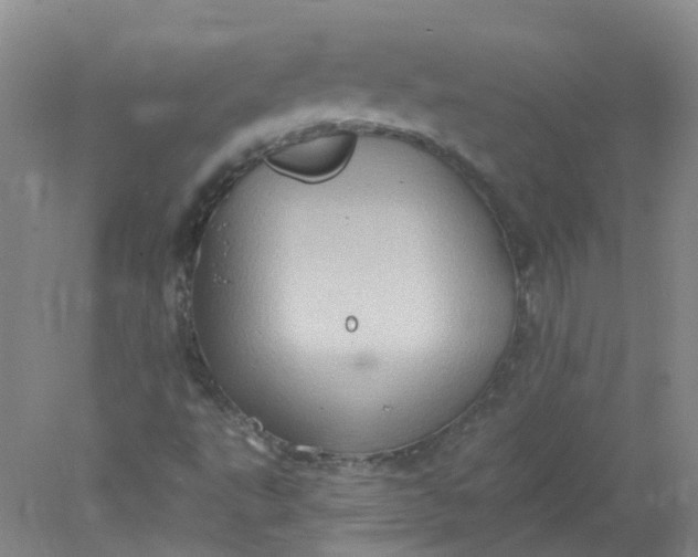 X0000078311495200611172201