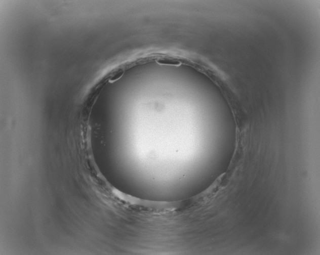 X0000078311496200611172201