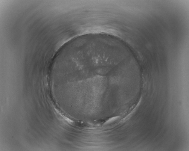 X0000078311497200611172201