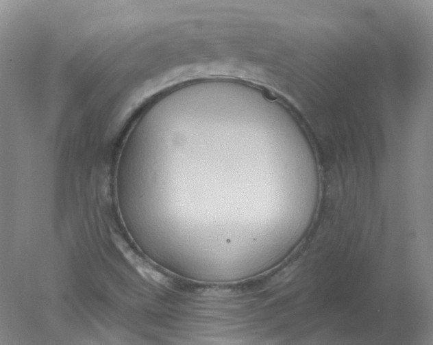 X0000078311499200611172201