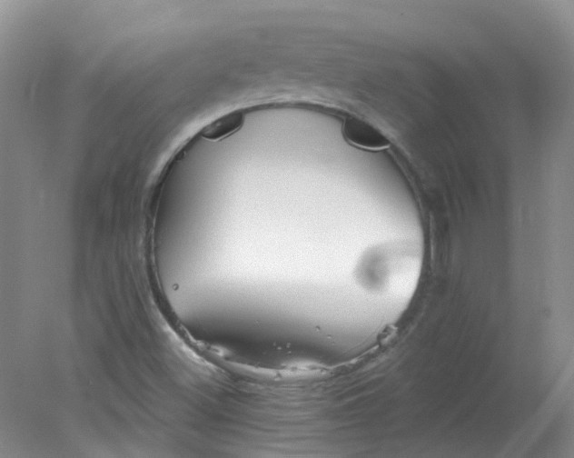 X0000078311500200611172201