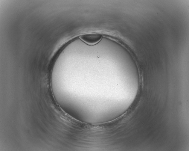 X0000078311501200611172201