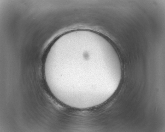 X0000078311502200611172201