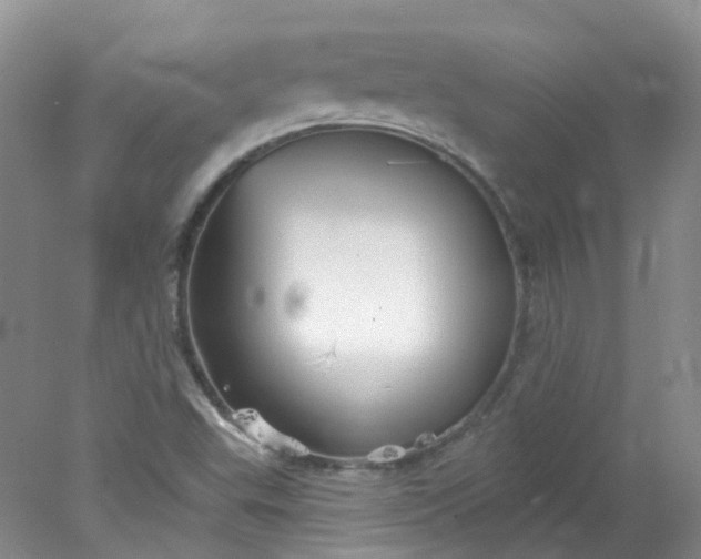 X0000078311503200611172201