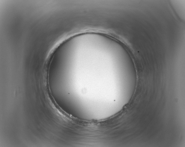 X0000078311504200611172201