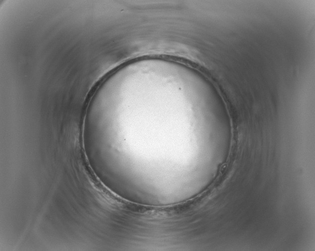 X0000078311505200611172201