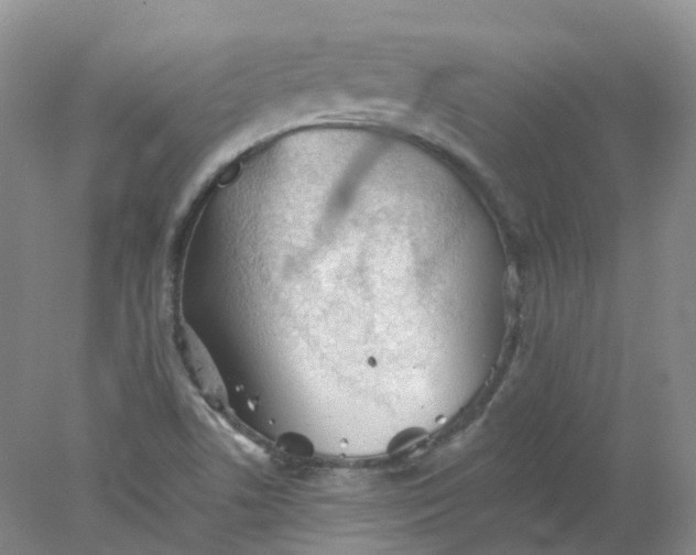 X0000078311506200611172201