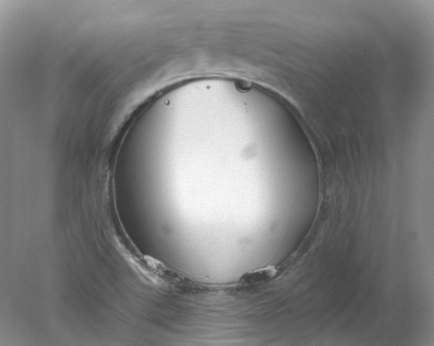 X0000078311507200611172201