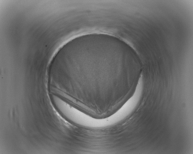 X0000078311508200611172201