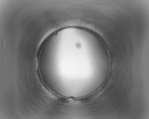 X0000078311509200611172201