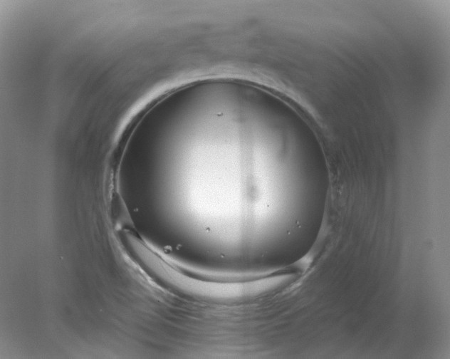 X0000078311510200611172201