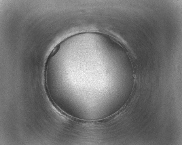 X0000078311512200611172201