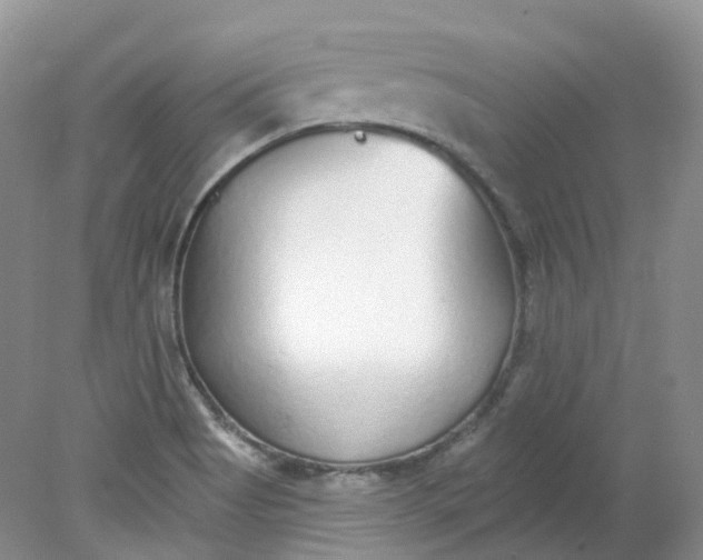 X0000078311513200611172201