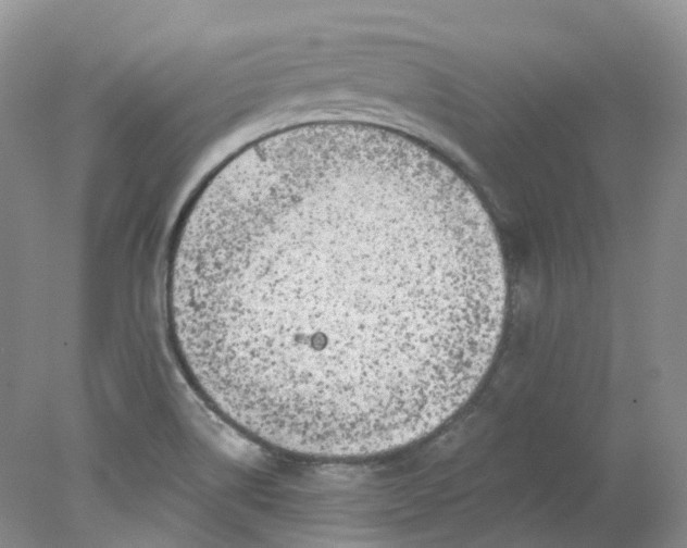 X0000078311514200611172201