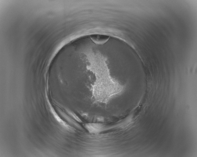 X0000078311515200611172201