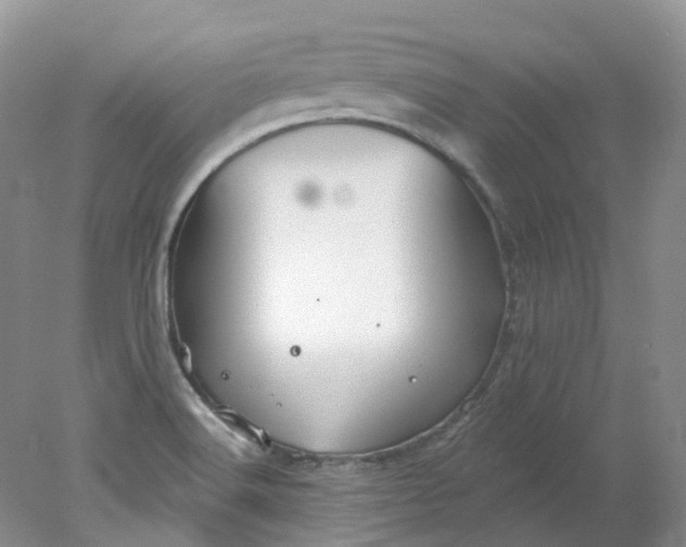 X0000078311516200611172201