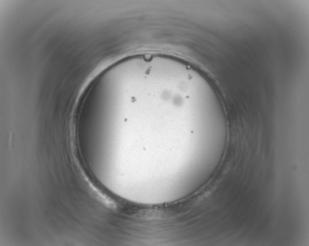 X0000078311517200611172201