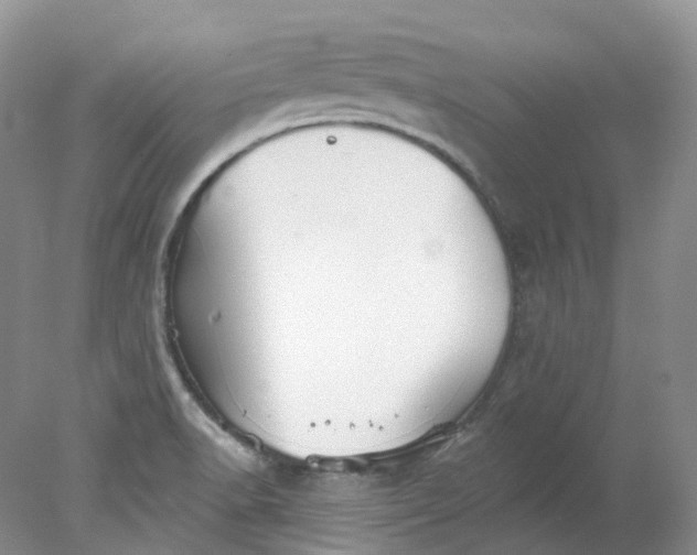 X0000078311518200611172201