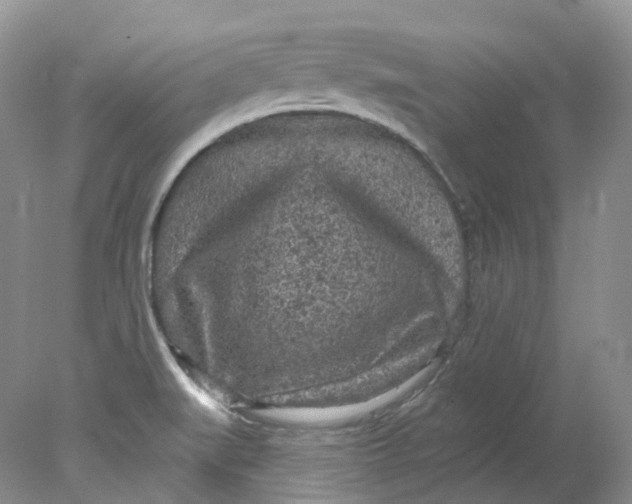 X0000078311519200611172201