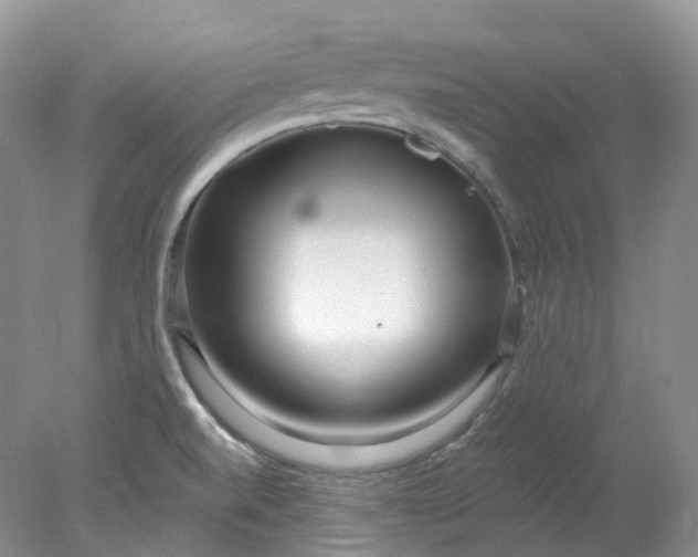 X0000078311520200611172201