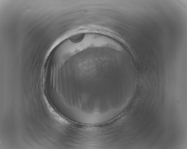 X0000078311522200611172201