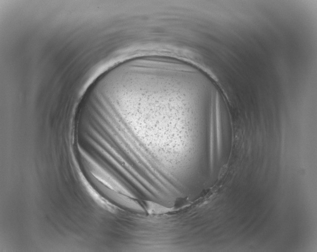 X0000078311523200611172201