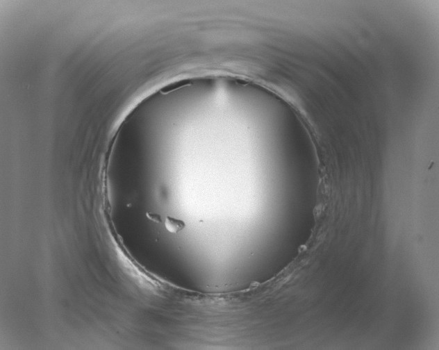 X0000078311524200611172201