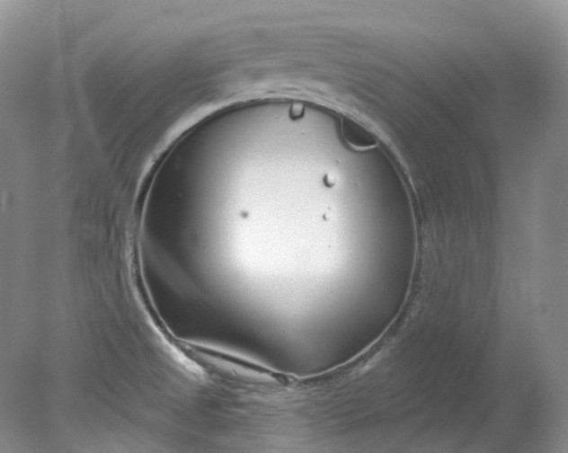 X0000078311525200611172201