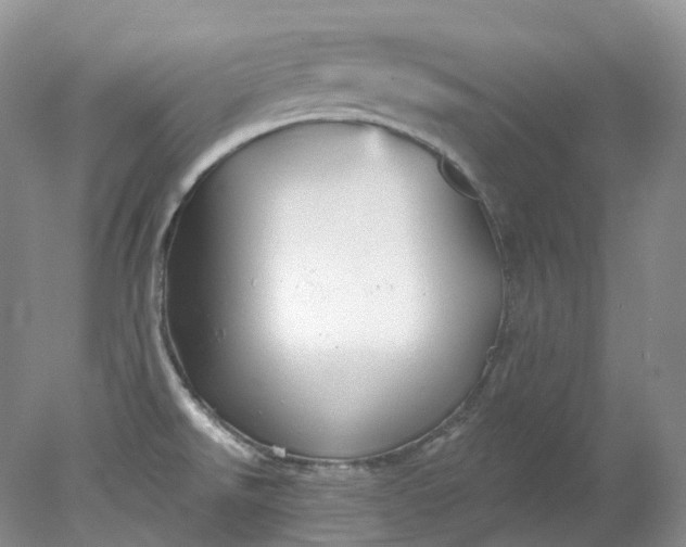 X0000078311526200611172201