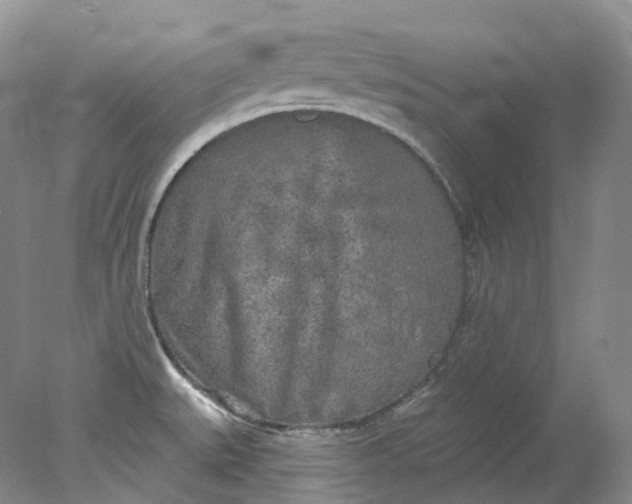 X0000078311527200611172201