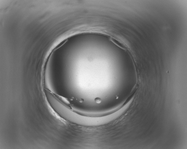 X0000078311528200611172201